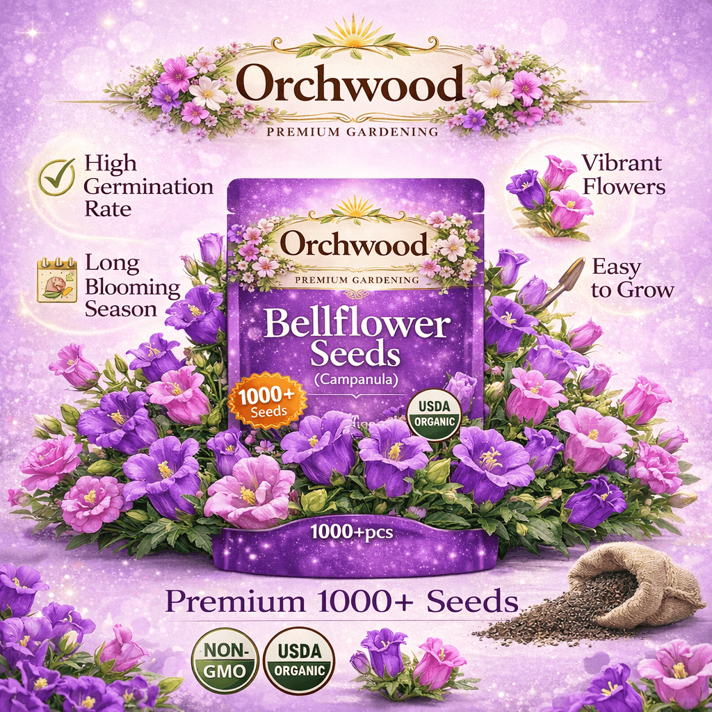 How to Grow Bellflowers (Campanula): Complete Planting & Care Guide