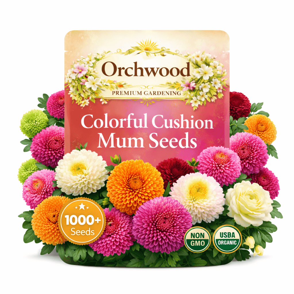 Cushion Mum seed packet