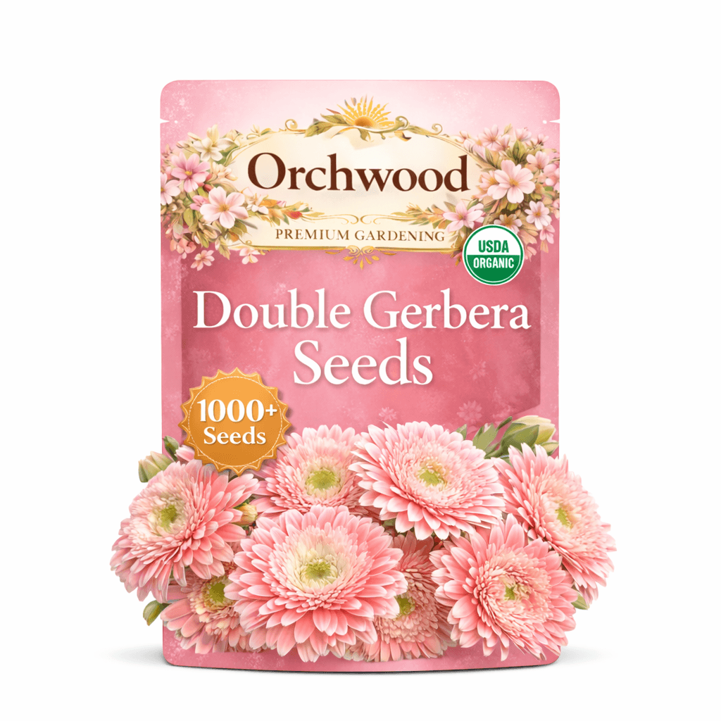 Double Gerbera seed packet