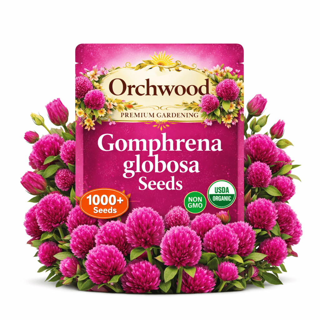 Gomphrena Globosa seed packet