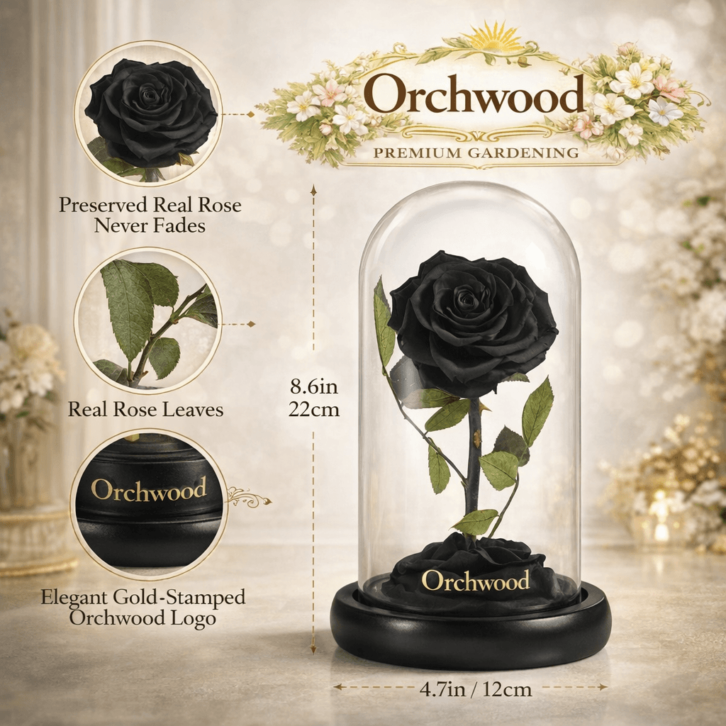 Decorating with Preserved Flowers: Rose Domes, LED Displays, and Lasting Beauty