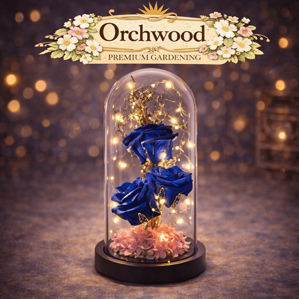 Royal Blue Triple Rose LED Dome